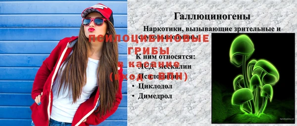 гидропоника Арсеньев