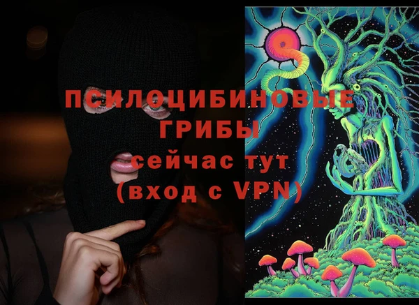 винт Струнино
