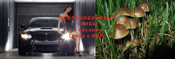 ECSTASY Армянск
