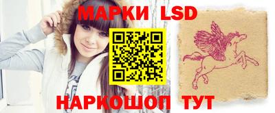 spice Кунгур