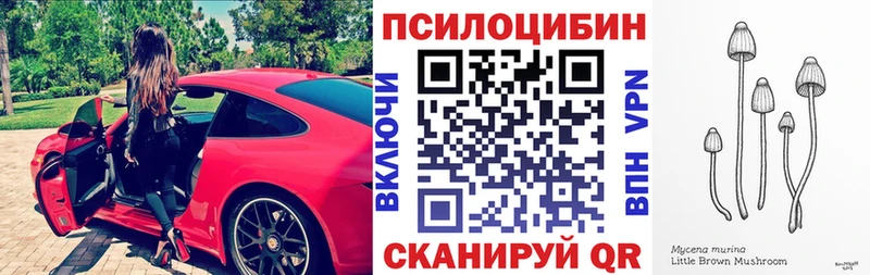 нарко площадка телеграм  Тара  Псилоцибиновые грибы MAGIC MUSHROOMS 