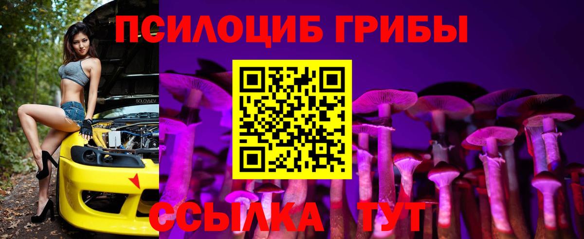 Тара  Псилоцибиновые грибы GOLDEN TEACHER  Вход с VPN  Псилоцибиновые грибы MAGIC MUSHROOMS 